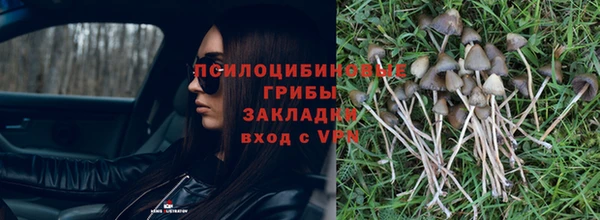 ешки Белоозёрский