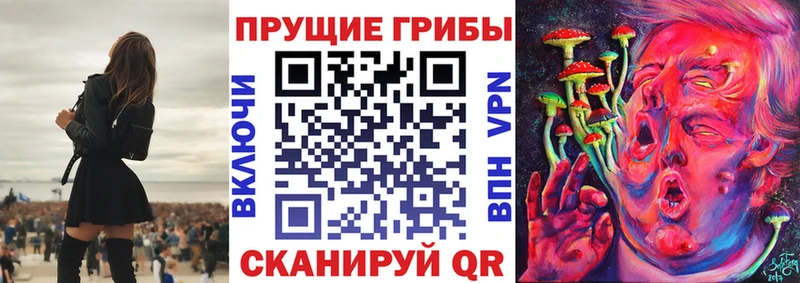 цены   Мурино  Псилоцибиновые грибы прущие грибы 